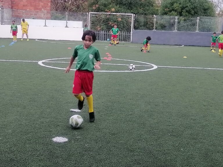 club de leones 2